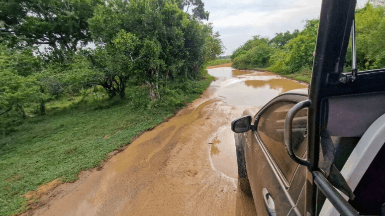 How to get to Yala National Park - Yala National Park Blog
