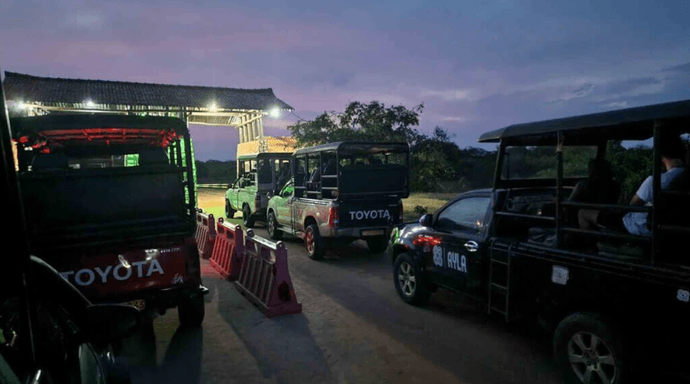 Our Yala Safari Experience - Yala National Park Blog
